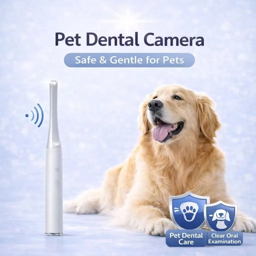 Wireless Visual Camera, 2MP HD Inspection WIFI Home Care Kit, Endoscopes for Android and IOS